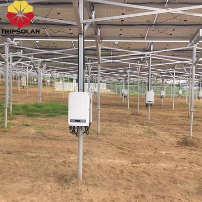 Open velden Installatieplaats Zonnepaneel Ground Mount System met aangepast ontwerp